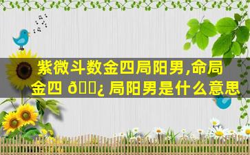 紫微斗数金四局阳男,命局金四 🌿 局阳男是什么意思